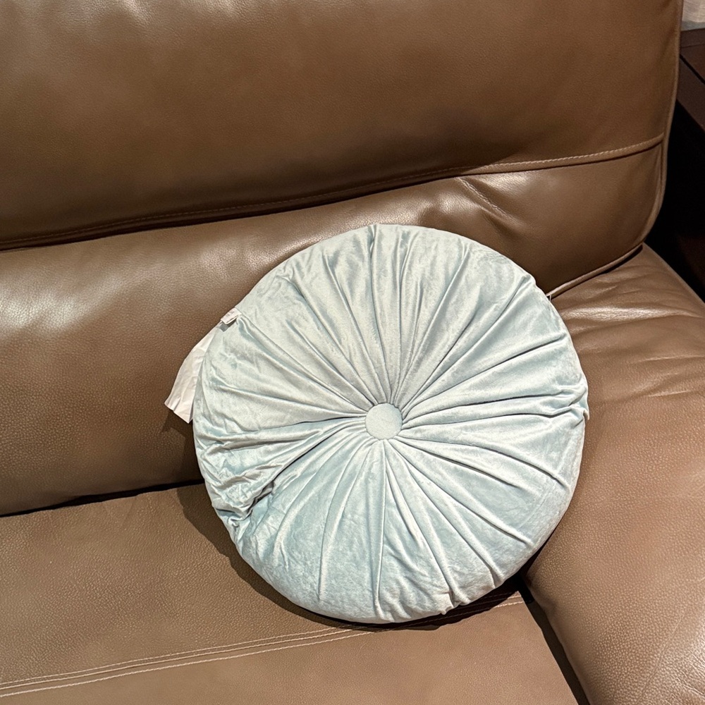 Lillian August Home Light Blue Accent Pillow